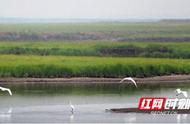 湖南洞庭湖保护立法：向太湖、鄱阳湖、琵琶湖学习