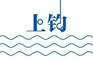 海钓新手必学：近海四大钓技揭秘