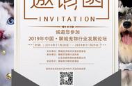 走进聊城：2019宠物行业发展的探讨与展望