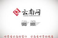 “玉中新贵”黄龙玉，即将开启发展的春天