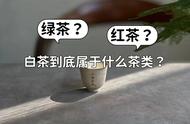 白茶的分类之谜