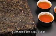 深入解析：黑茶的专业审评术语