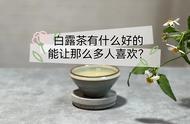 白露时节，白茶中的白露茶等你来品，秋天的茶香四溢