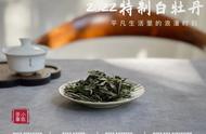 白茶选购秘籍：产区、工艺、等级，让你买到最满意的茶品！