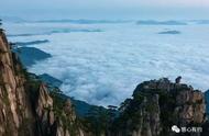 品味黄山毛峰，感受茶乡风情