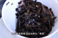 了解乌龙茶：产地划分与特点