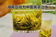 今天你喝了黄茶吗？