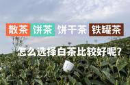 白茶散茶、饼干茶、饼茶：如何区分适合饮用和适合收藏的茶叶？