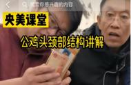 揭秘央美教授短视频国画教学的火爆背后