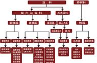 刺猬紫檀与黄花梨：木材王国的不同篇章