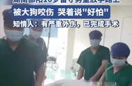 10岁男童遭阿拉斯加犬攻击：狗狗已被处决，家属寻求捐款