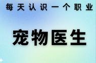 与职业亲密接触：宠物医生篇