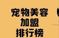 探索2023年宠物美容加盟市场，哪些品牌脱颖而出？