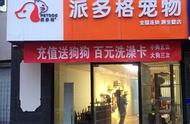 宠物店主必备：那些你不知道的专业知识